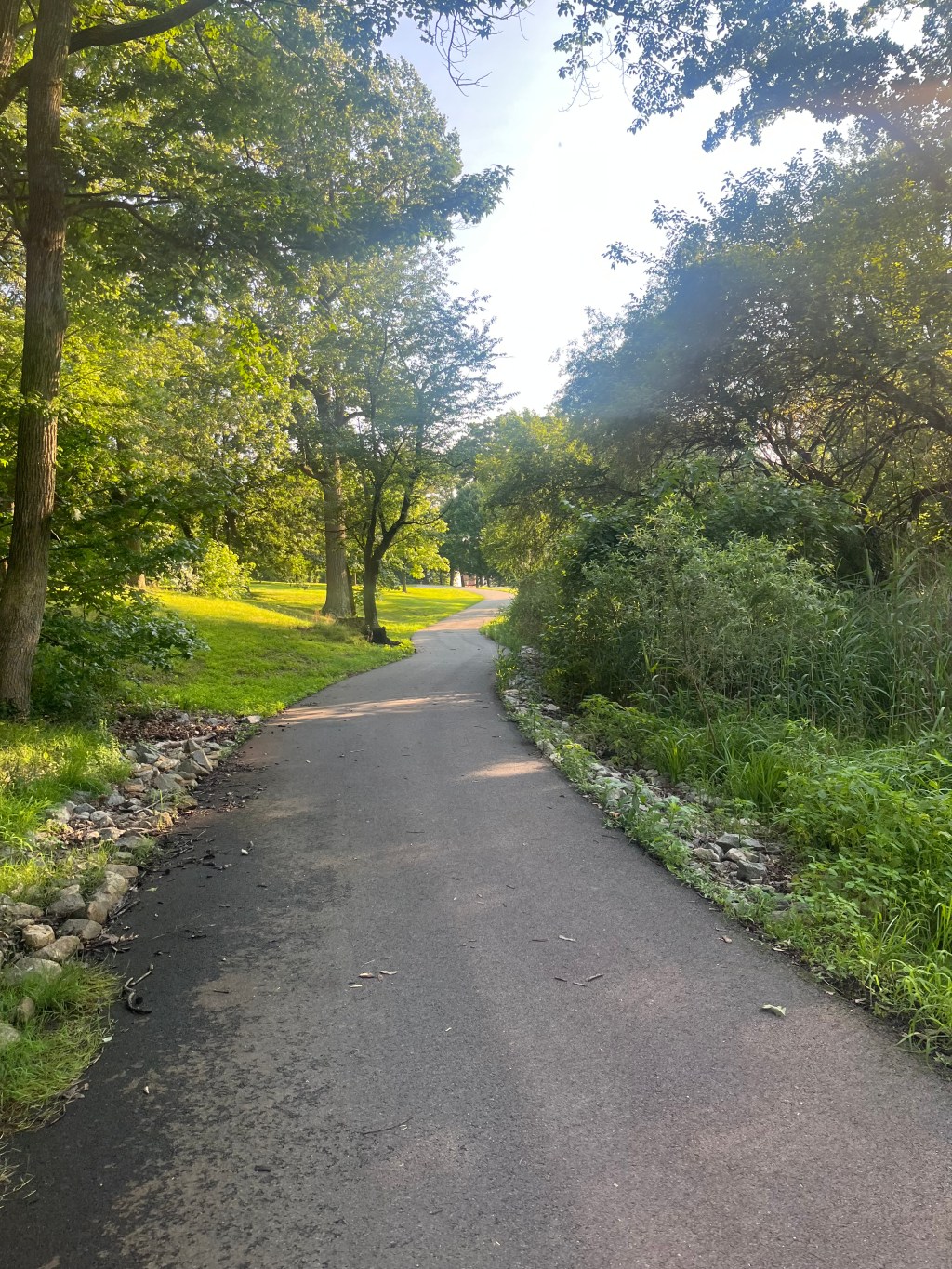 WunderWalking: The Surprising Connection Between Exercise and&nbsp;Joy